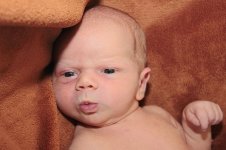 3009_110_новый размер.JPG