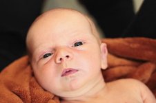 3009_146_новый размер.JPG