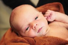 3009_149_новый размер.JPG