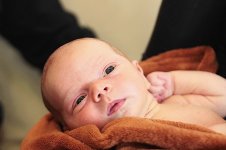 3009_152_новый размер.JPG