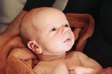 3009_162_новый размер.JPG