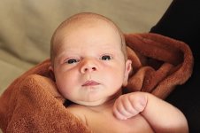 3009_166_новый размер.JPG