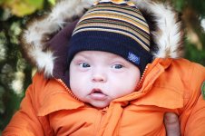 04_10-096_новый размер.JPG