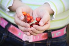 04_10-210_новый размер.JPG