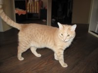 IMG_0083.JPG