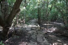 DSC05562-1.jpg