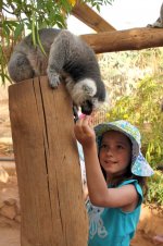 Travel 601111.jpg