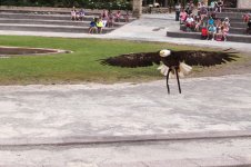 Travel 703111.jpg