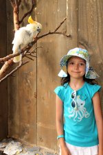 Travel 957111.jpg