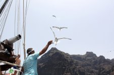 Travel 1192111.jpg