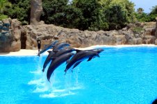 Travel 2306111.jpg