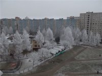 -88693455.jpg