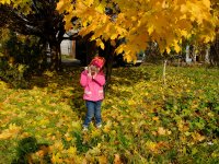 DSCF2668 1.jpg
