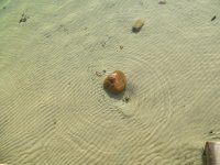 IMG_0957.JPG