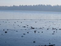 IMG_0960.JPG