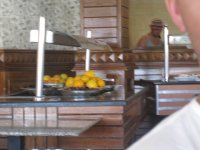 IMG_0583cr.jpg