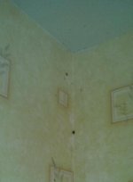 IMG_20141130_104022.jpg