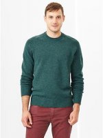 gap_sweater_Lambswool_crewneck.jpg