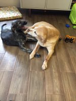 2015-01-02 12.36.25.jpg