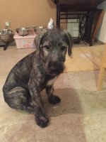 2015-01-04 22.15.34.jpg