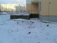 20150111_100934.jpg