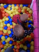 20150113_120434.jpg