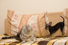 Бонни и Борис.jpg