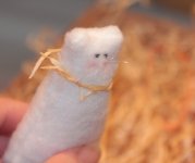 cat6.jpg