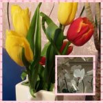 PhotoGrid_1423766206117.jpg