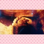 PhotoGrid_1424118619370.jpg