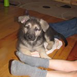 IMG_4167-001.JPG