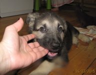 IMG_4176-001.JPG