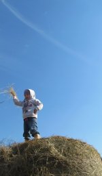 IMG_1055.jpg