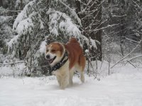 IMG_0665.jpg