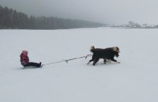 IMG_0690.jpg