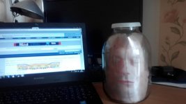 голова.jpg