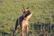 DSC_2163[1].JPG
