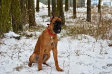 DSC_2244[2].JPG
