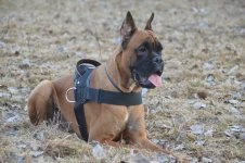 DSC_2289[1].JPG