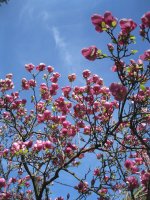 IMG_0997.JPG