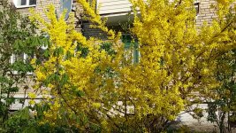 20150429_084513.jpg