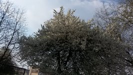 20150429_084745.jpg