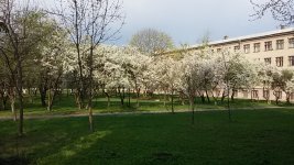 20150429_085208.jpg