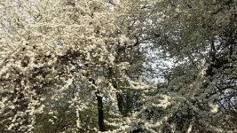 20150429_085423.jpg