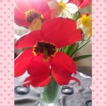 PhotoGrid_1430907488688.jpg