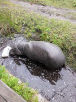 IMG_20150516_130336 сем.jpg