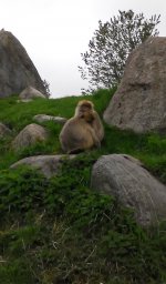 IMG_20150516_131107 сем.jpg