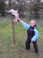 IMG_20150516_140022 сем.jpg