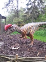 IMG_20150516_150007 сем.jpg