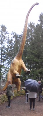 IMG_20150516_150154 сем.jpg